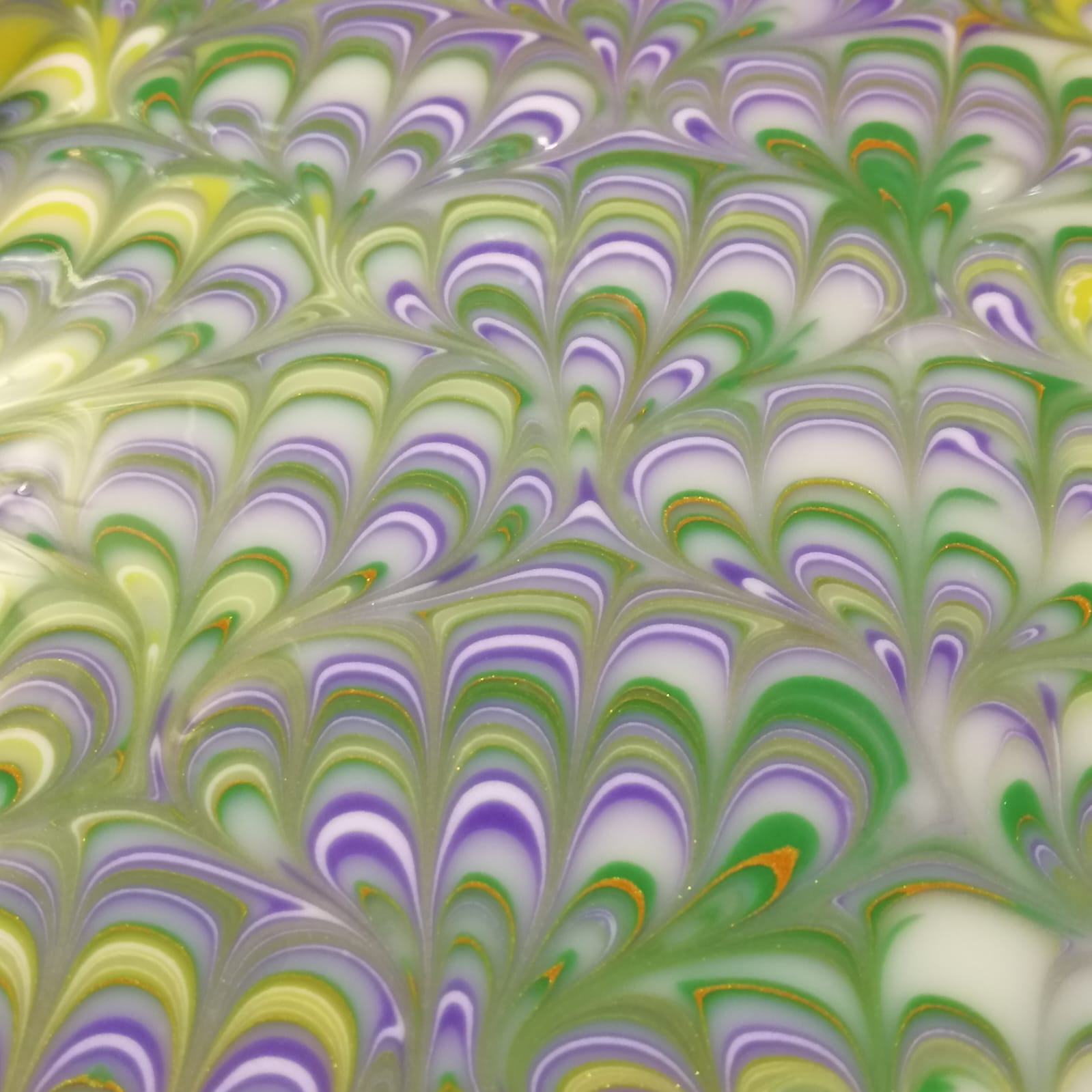 WhatsApp Image 2025-12-23 at 00.10.05